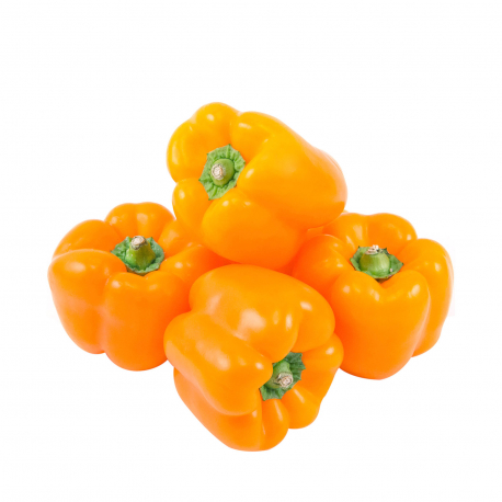 Πιπεριές πορτοκαλί Ελλάδος