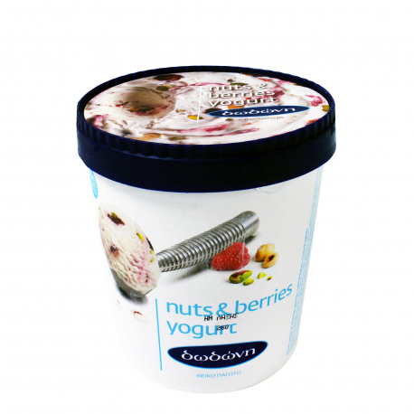 Παγωτά Δωδώνη παγωτό οικογενειακό nuts & berries frozen yogurt (0.6kg)