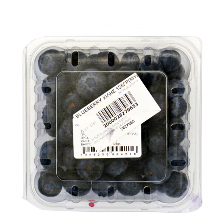 Blueberry (μύρτιλο) τυποποιημένο blueberry (125g)