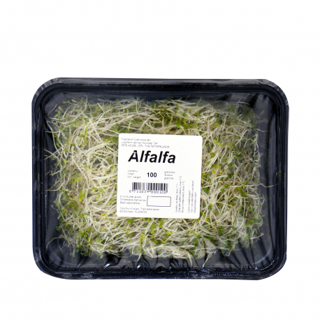 Alfalfa φύτρα (100g)
