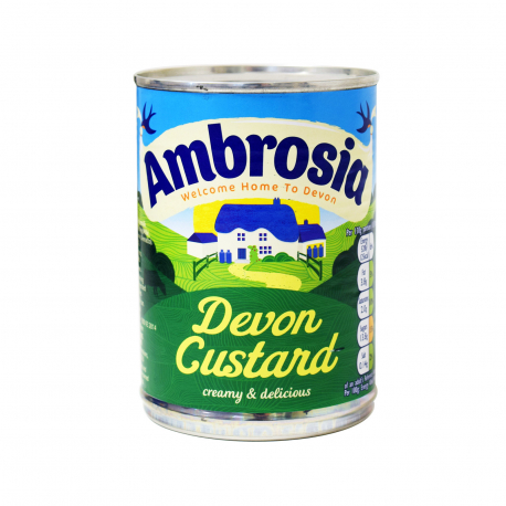Ambrosia κρέμα devon custard (400g)