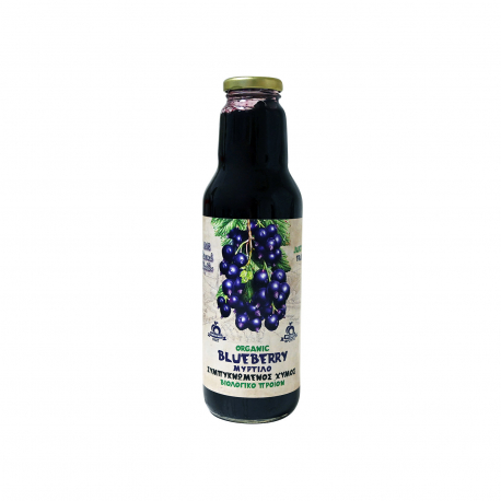 Health trade χυμός συμπυκνωμένος blueberry - βιολογικό (750ml)