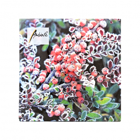 Ambiente χαρτοπετσέτες μεσαίες No. 33317890 frozen berries 33X33εκ., 20 τεμάχια (120g)