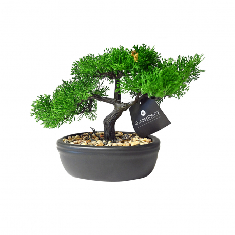 Jja διακοσμητικά σπιτιού 103379 γλάστρα bonsai