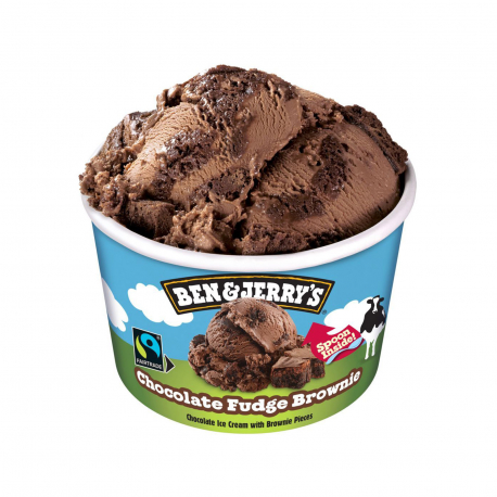 Ben & Jerry's παγωτό ατομικό chocolate fudge brownie (0.072kg)