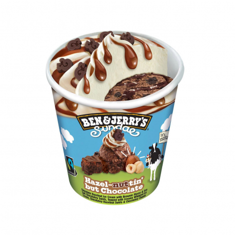 Ben & Jerry's παγωτό οικογενειακό sundae hazel- nutin (344g)