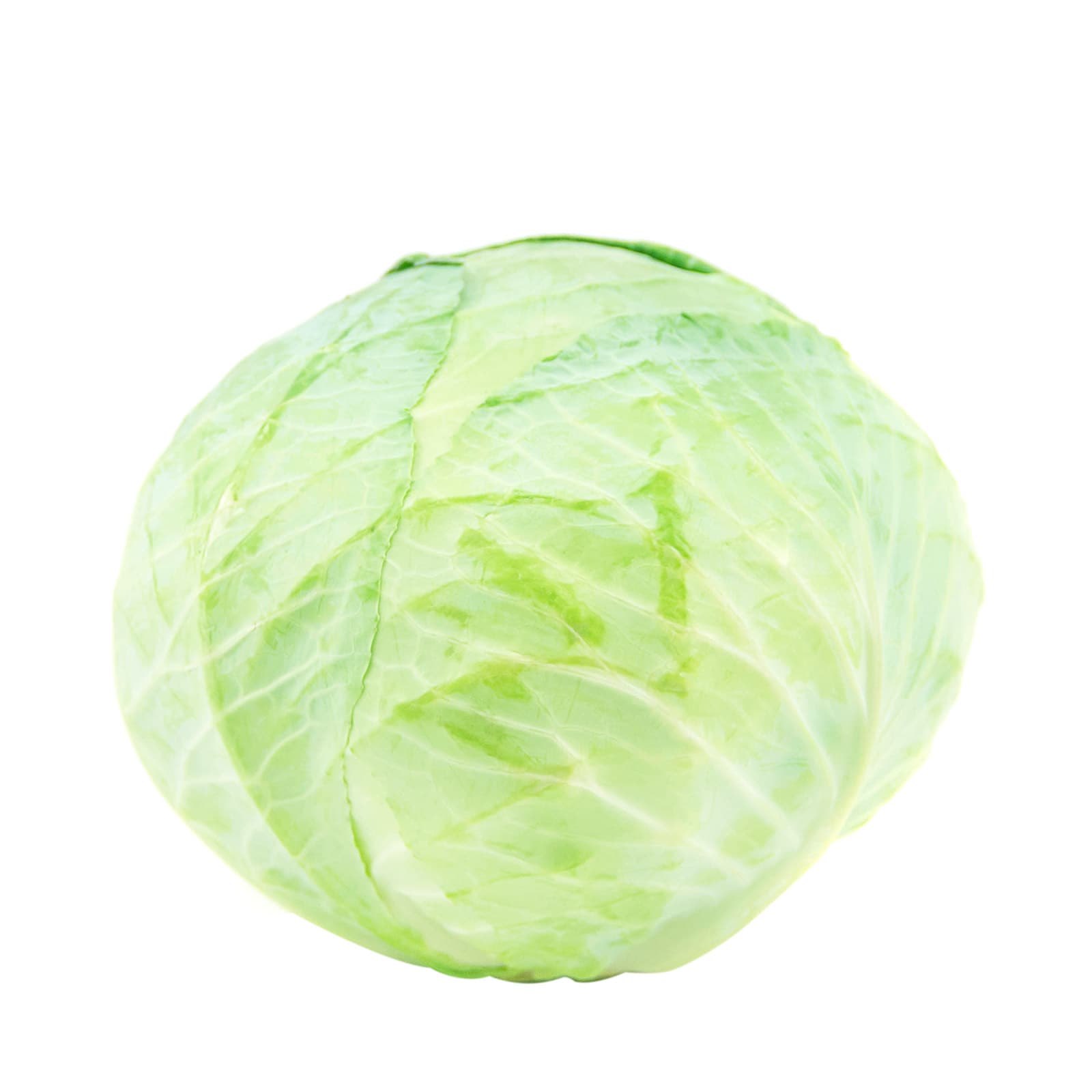 Λάχανο άσπρο Ελλάδος ~1.25Kg εικόνα 1