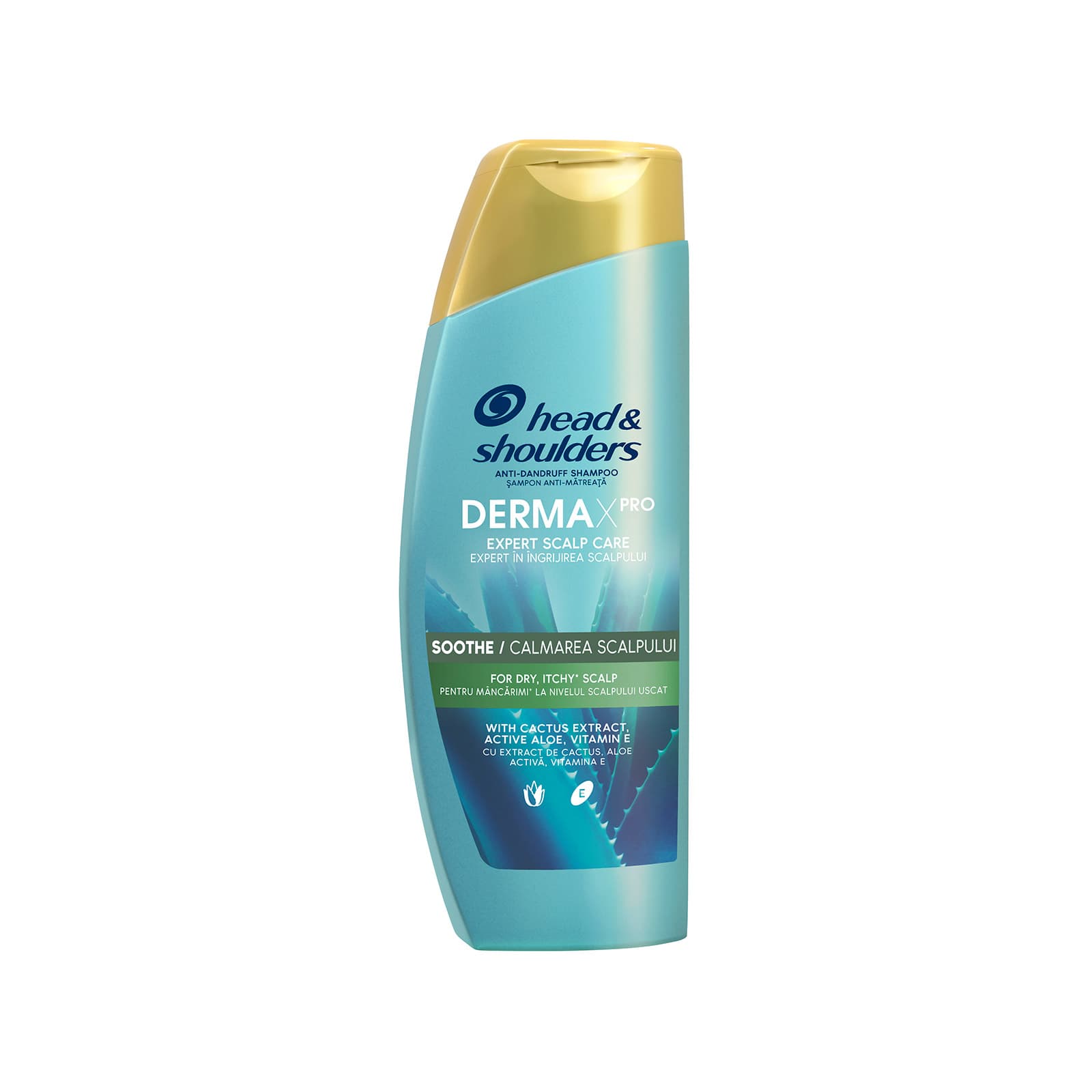 Head & Shoulders Derma x pro σαμπουάν αντιπιτυριδικό με αλόη & εκχύλισμα κάκτου 300ml εικόνα 1